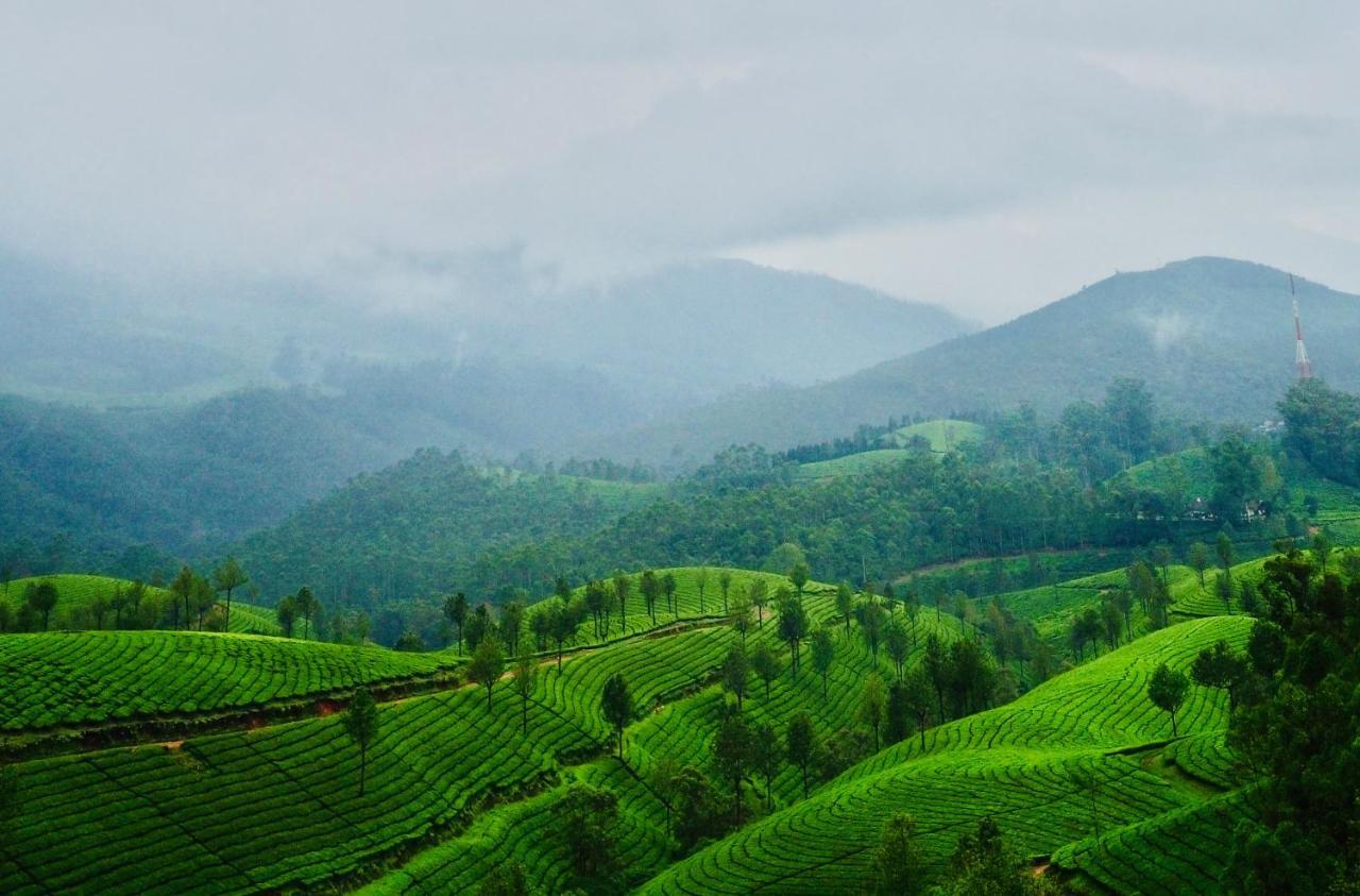 Lockhart Bungalow Munnar - A Cgh Earth Saha Experience מראה חיצוני תמונה