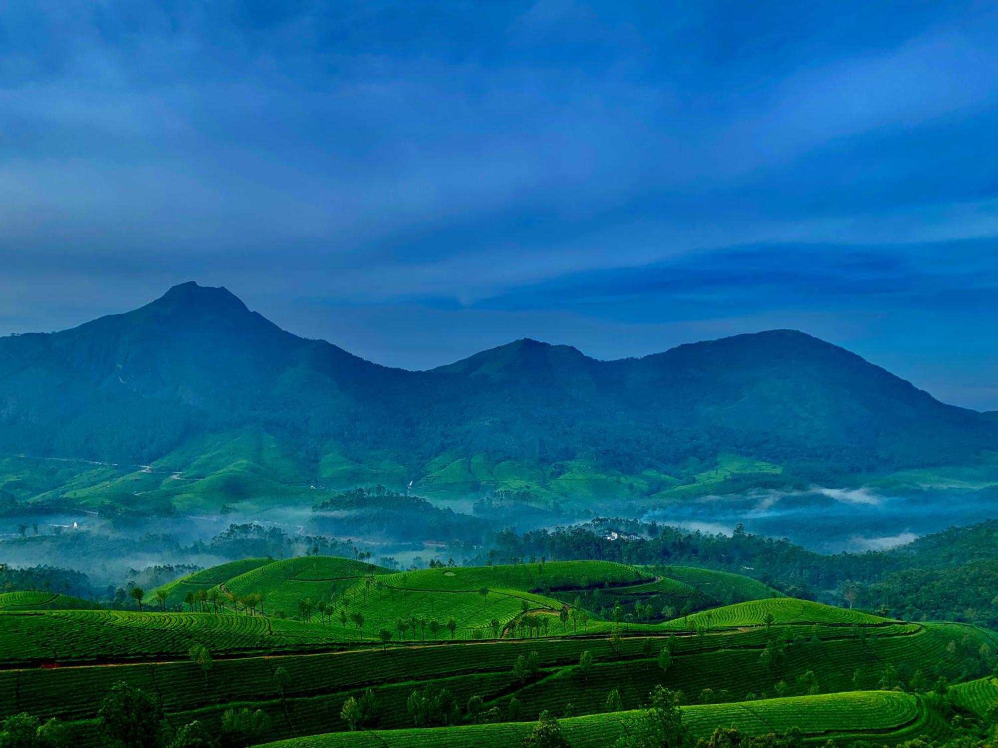 Lockhart Bungalow Munnar - A Cgh Earth Saha Experience מראה חיצוני תמונה