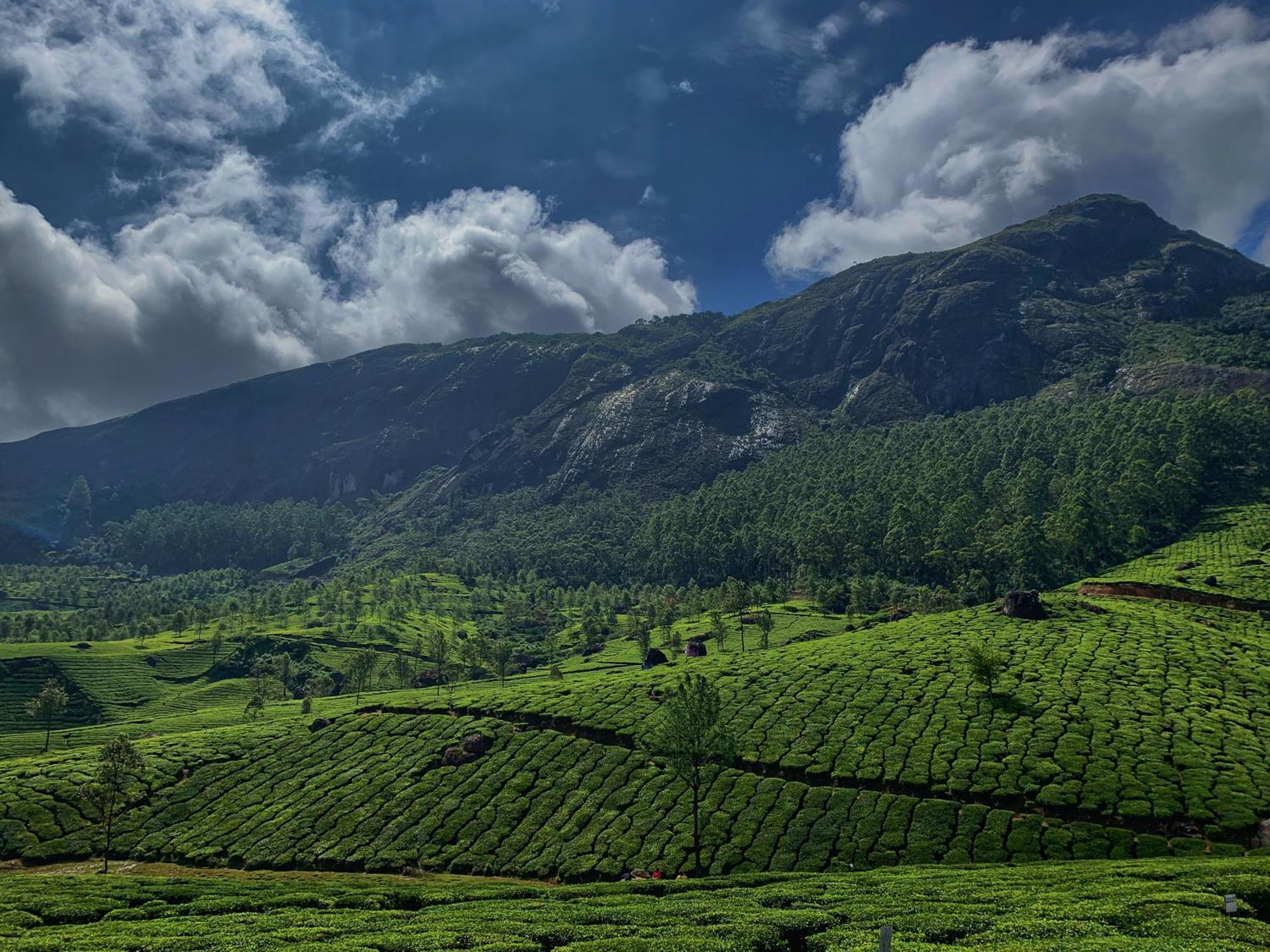 Lockhart Bungalow Munnar - A Cgh Earth Saha Experience מראה חיצוני תמונה