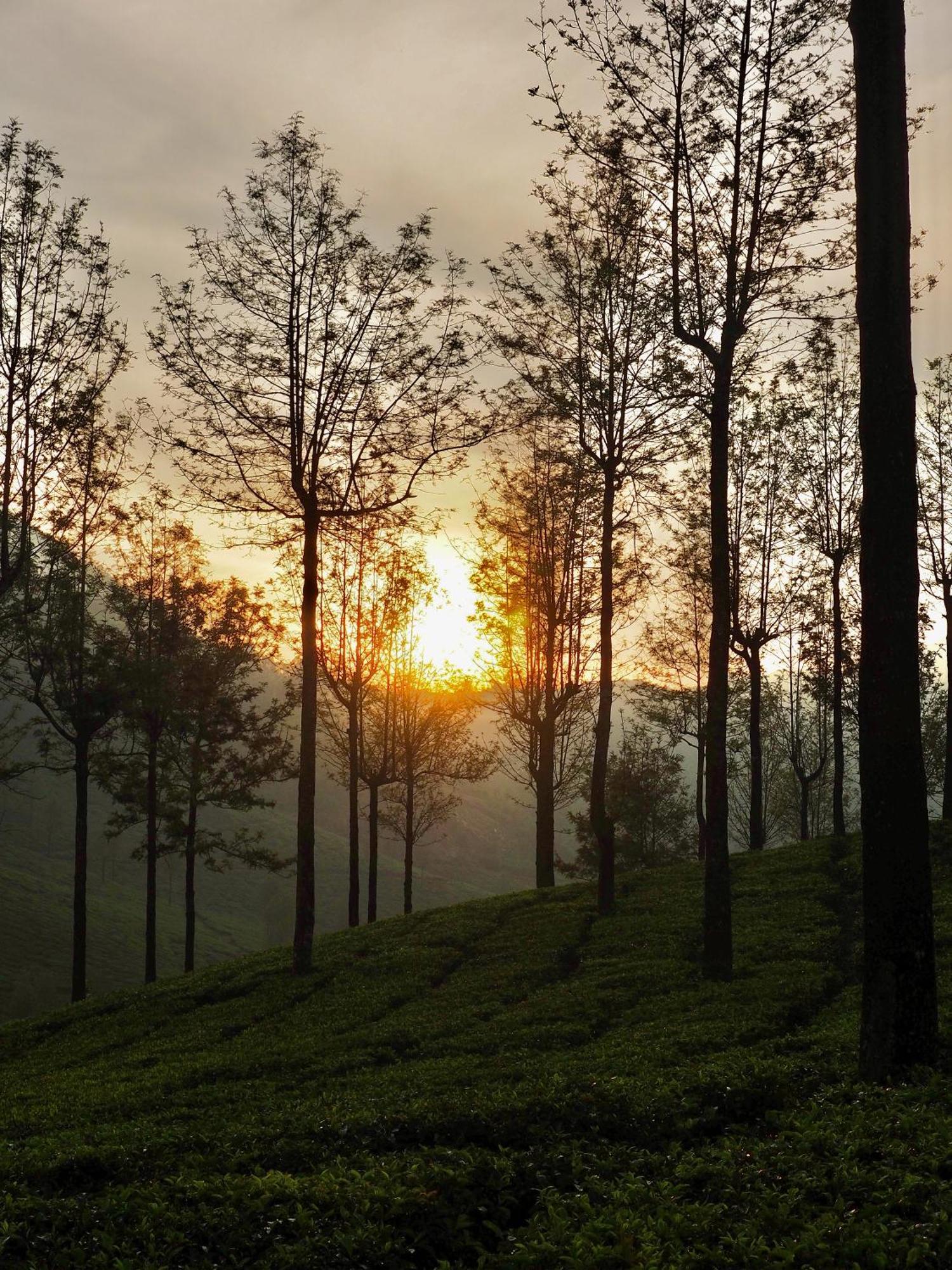 Lockhart Bungalow Munnar - A Cgh Earth Saha Experience מראה חיצוני תמונה